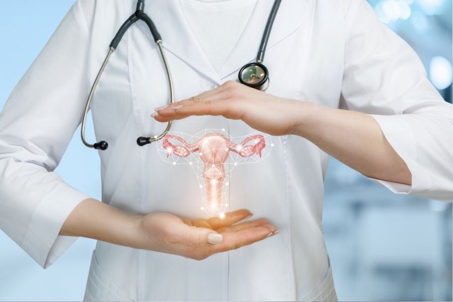 GYNECOLOGY - MEDWHOLESALE 